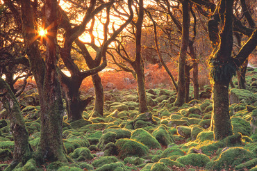 Cwm Bychan at sunset