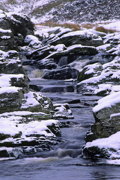 Mountain stream