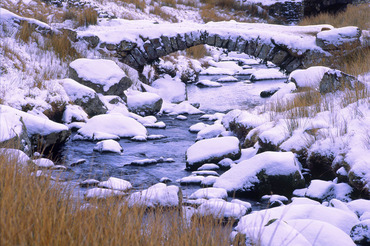 Ffestiniog Moor