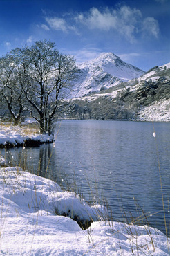 Yr Aran from Llyn Gwynant