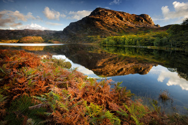 Llyn Cwm Bychan