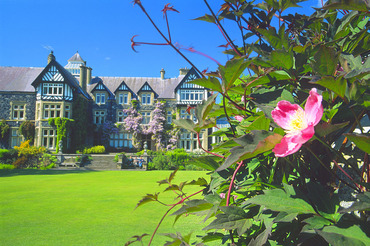 Clematis, Bodnant Hall