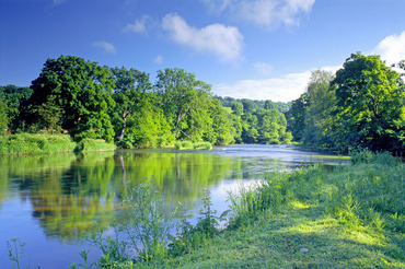 Beside the river