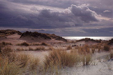 Harlech sand dunes