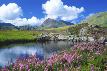 Crib Goch from Cwmffynnon