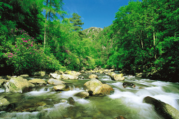 Aberglaslyn - passing me by