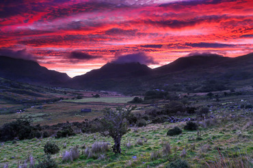 Cwm Nantcol at dawn