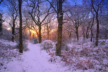 A winter walk