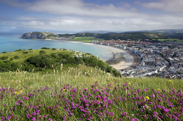 Looking over Llandudno