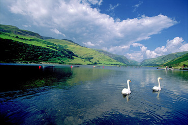 Talyllyn