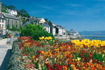 Aberdyfi