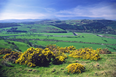 The Dovey Valley near Machynlleth