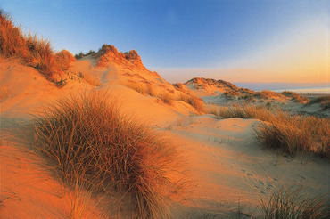 Dyffryn sand dunes at sunset