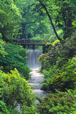 Bodnant Gardens - the Waterfall