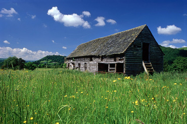 Meadow near Abermule