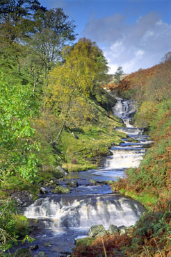 Falls on the Eunant, Lake Vyrnwy