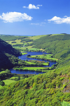 Cwm Rheidol