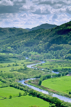 The River Conwy near Llanrwst