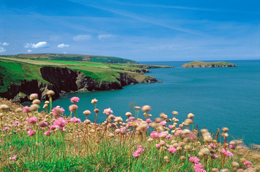 Cardigan Island from Mwnt Headland