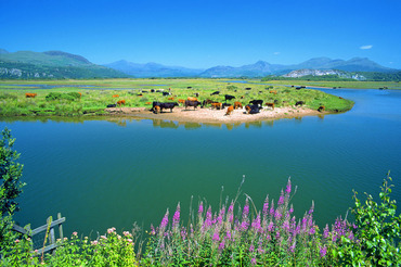 Snowdon from the Cob