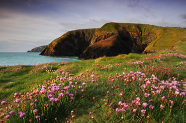 Ceibwr Bay, Pembrokeshire Coast Path