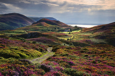 Snowdonia Calendar 2021